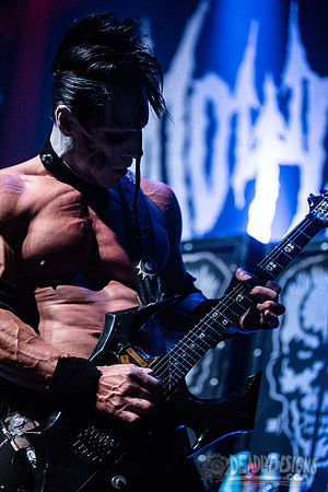 Doyle