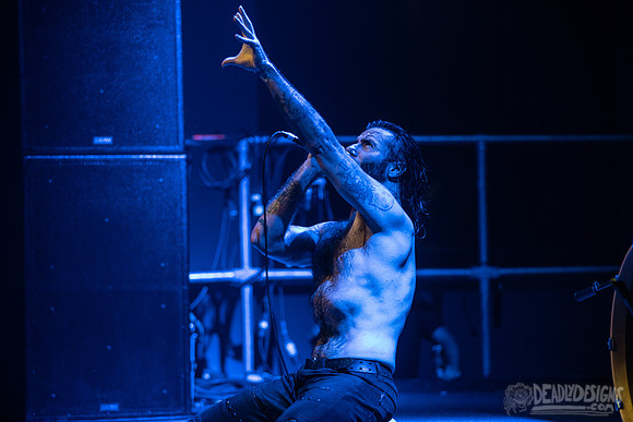 Doyle
