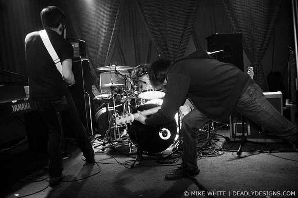 The Whigs