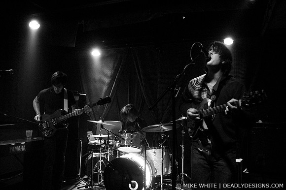 The Whigs