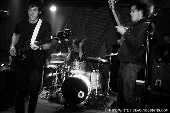 The Whigs