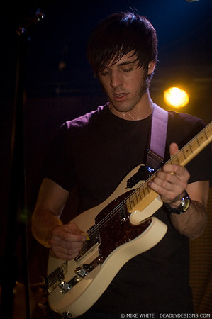 The Whigs