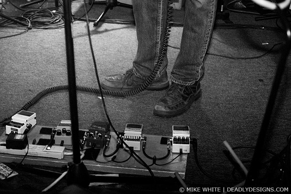 The Whigs