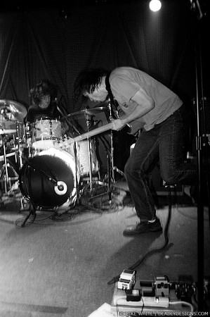 The Whigs