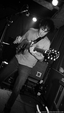 The Whigs