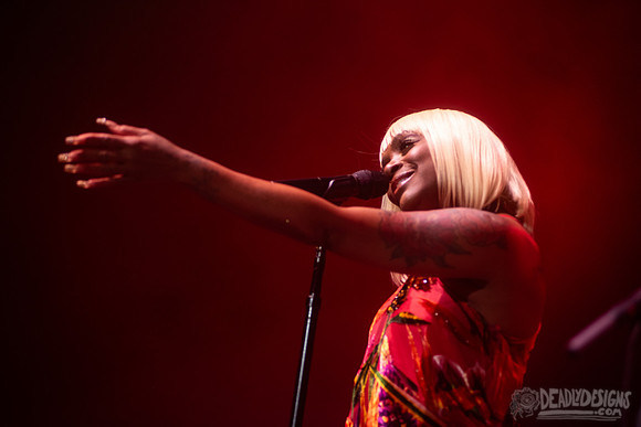 Nile Rodgers + CHIC