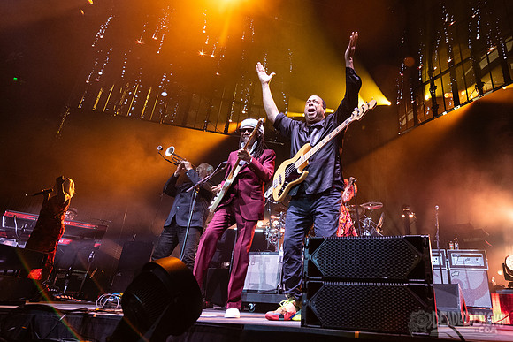 Nile Rodgers + CHIC