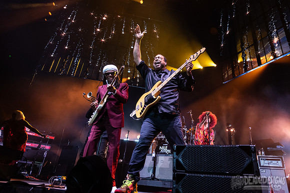 Nile Rodgers + CHIC