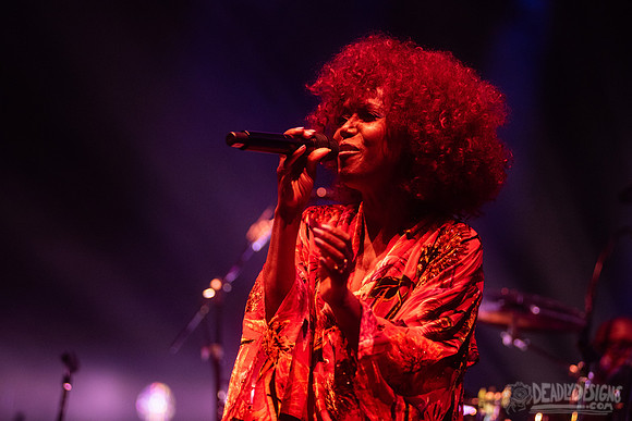 Nile Rodgers + CHIC