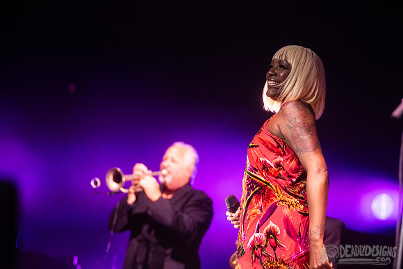 Nile Rodgers + CHIC