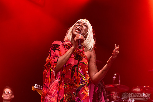 Nile Rodgers + CHIC