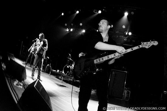 The Jesus Lizard