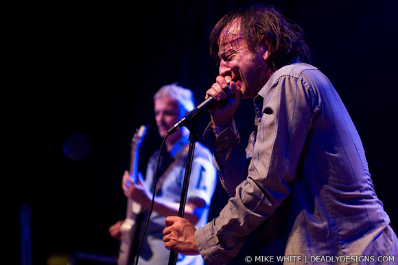 The Jesus Lizard