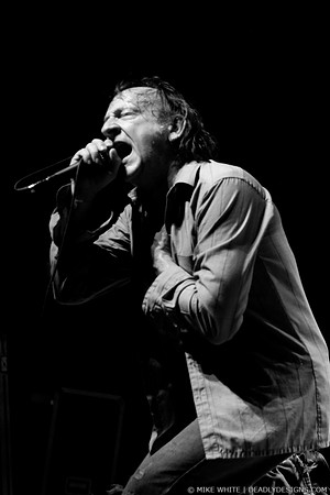 The Jesus Lizard