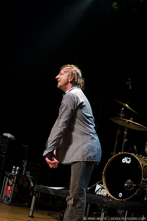 The Jesus Lizard