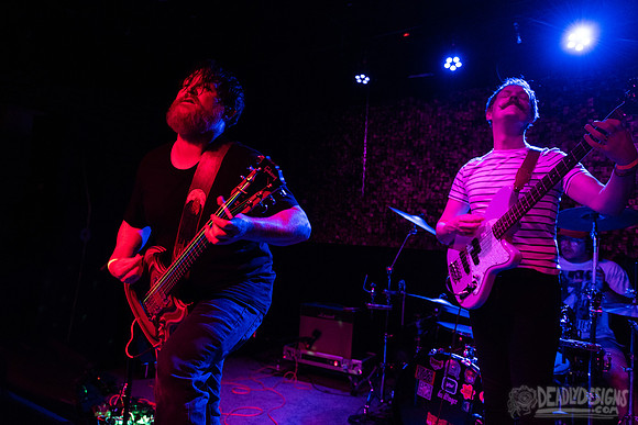 The Buzzards of Fuzz