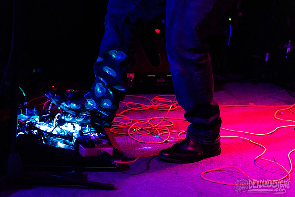 The Buzzards of Fuzz