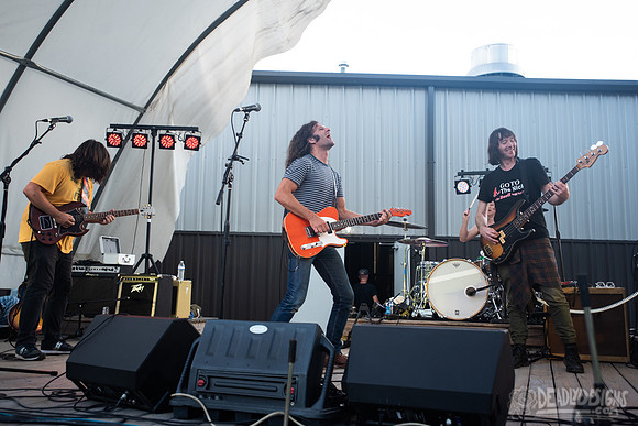 The Williamson Brothers
