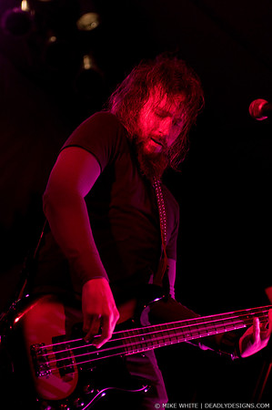 Mastodon