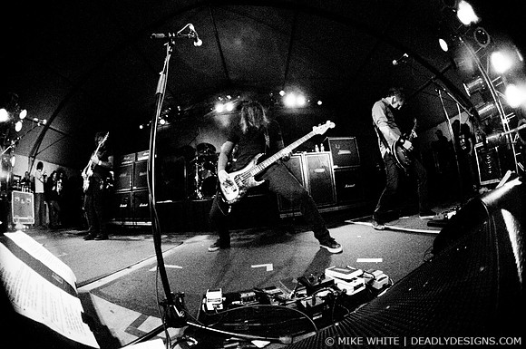 Mastodon