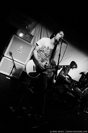 Summerbirds in the Cellar