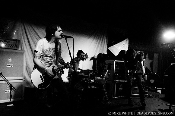 Summerbirds in the Cellar