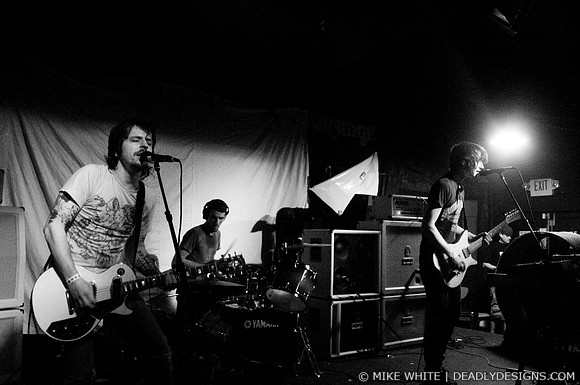 Summerbirds in the Cellar