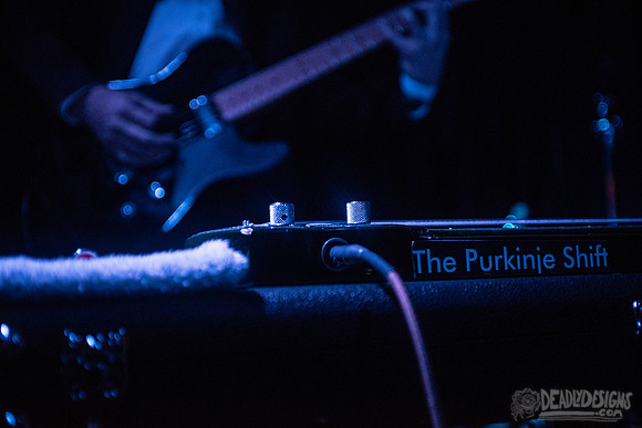 The Purkinje Shift