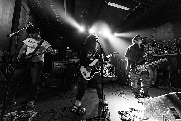 Narrow Head