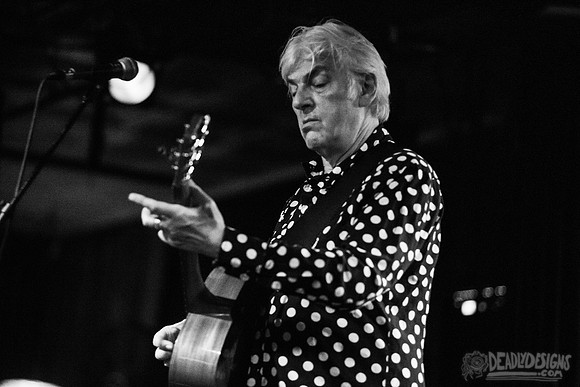Robyn Hitchcock