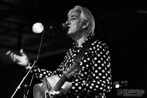 Robyn Hitchcock