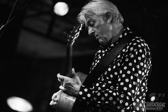 Robyn Hitchcock