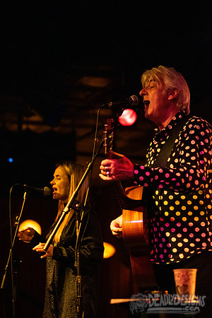 Robyn Hitchcock