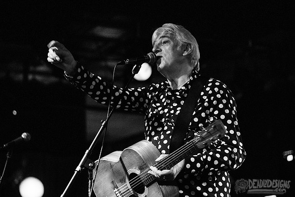 Robyn Hitchcock