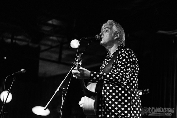 Robyn Hitchcock