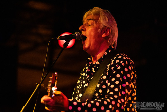 Robyn Hitchcock