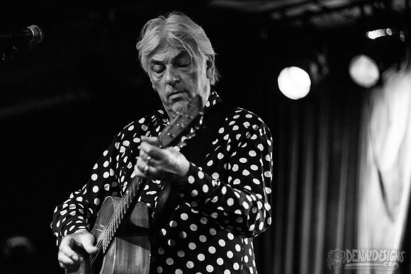 Robyn Hitchcock
