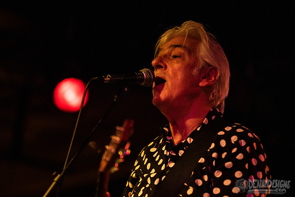 Robyn Hitchcock