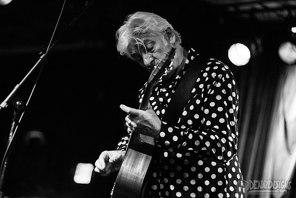 Robyn Hitchcock