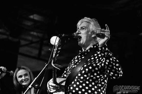 Robyn Hitchcock
