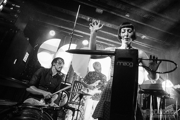 The Octopus Project