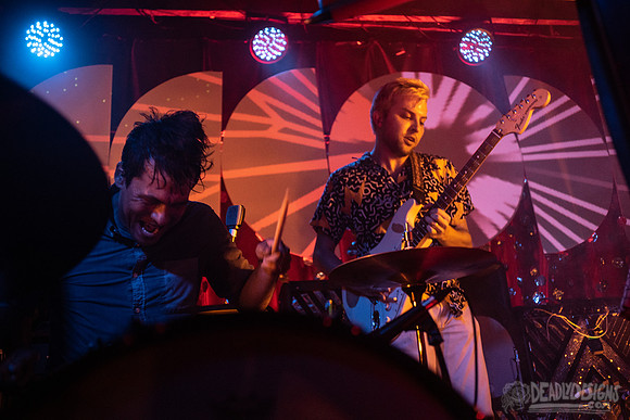 The Octopus Project