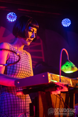 The Octopus Project