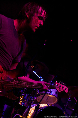 The Whigs