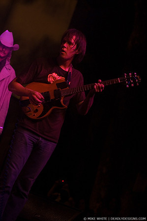 The Whigs