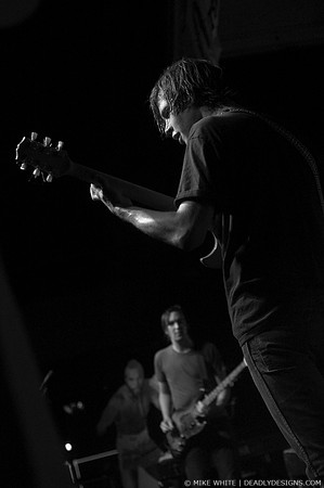 The Whigs