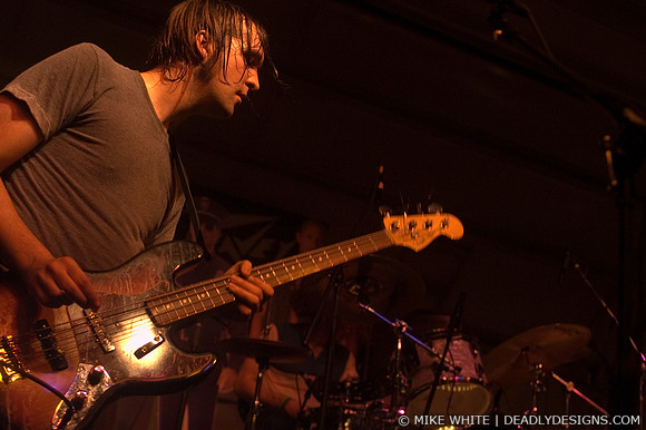 The Whigs