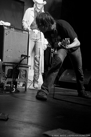 The Whigs