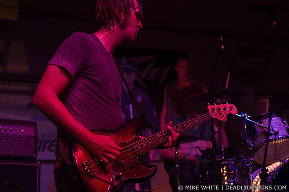 The Whigs