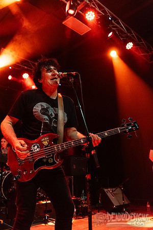 The Chameleons